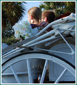 Charleston Coach provides horse carriage rides for a perfect evening on the town. 